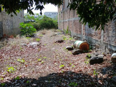 TERRENO EN FEDERALISMO POR DERMATOLOGICO