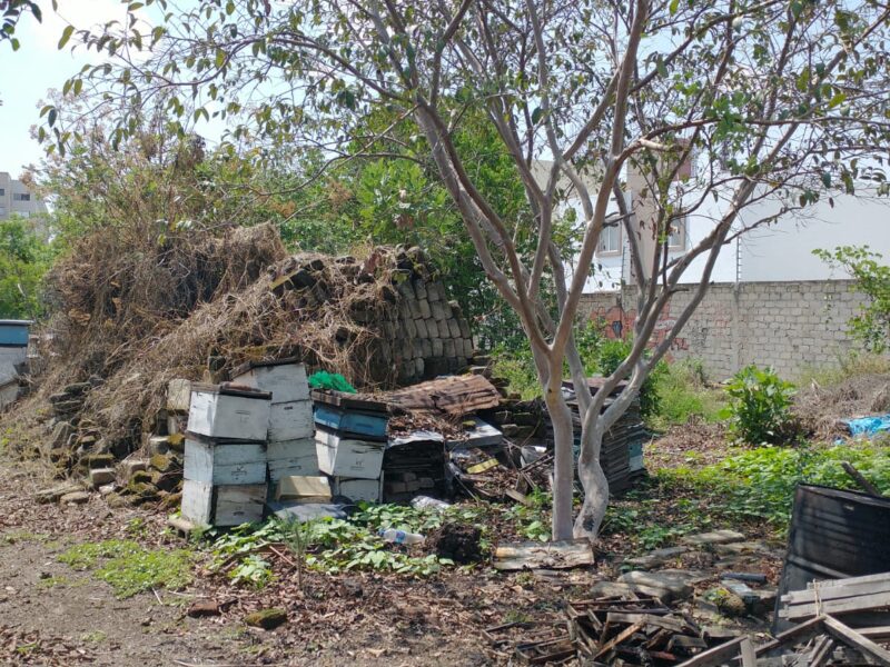 OPORTUNIDAD TERRENO PARA DESARROLLO HABITACIONAL Y COMERCIAL