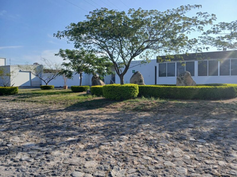 PLANTA DE EXPORTACIONDE BERRIES EN VENTA TALA JALISCO