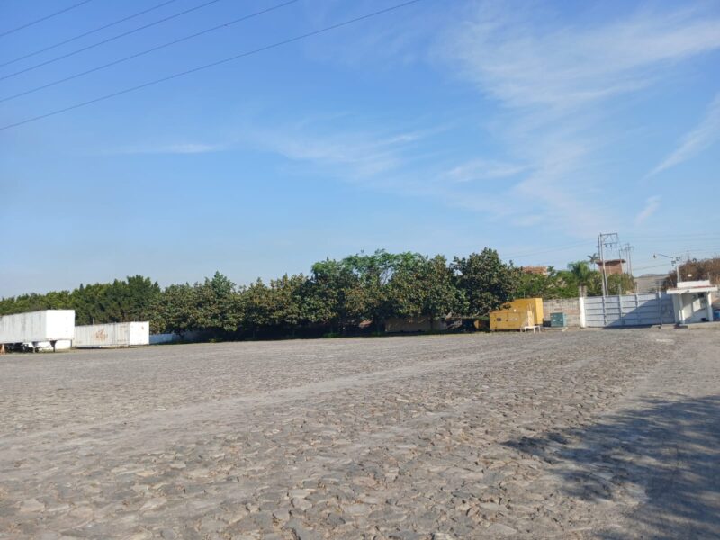 PLANTA DE EXPORTACIONDE BERRIES EN VENTA TALA JALISCO